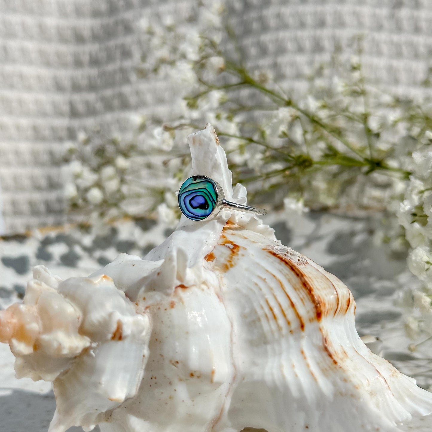 Paua Shore Ring
