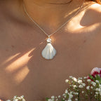 Scallop Shell Necklace - White Moonstone