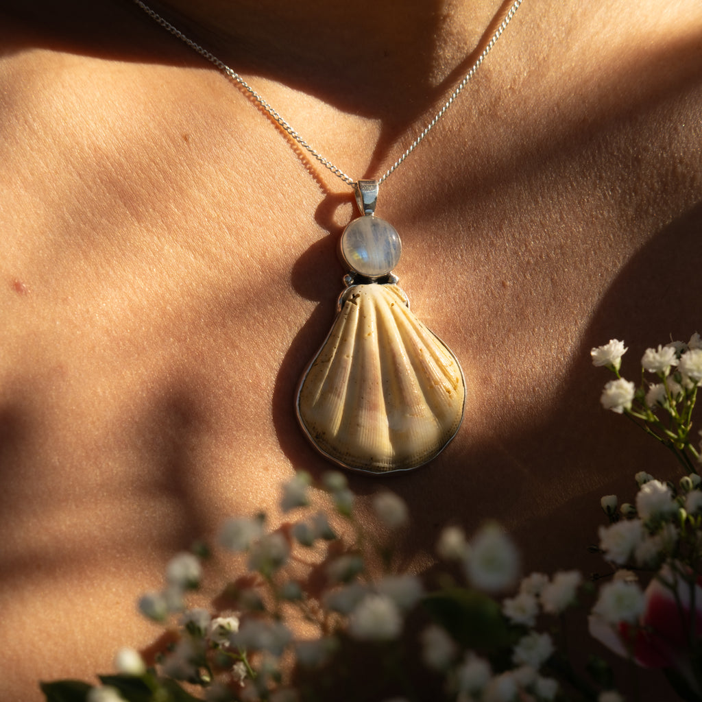 Scallop Shell Necklace - Yellow Moonstone