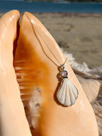 Scallop Shell Necklace - White Moonstone