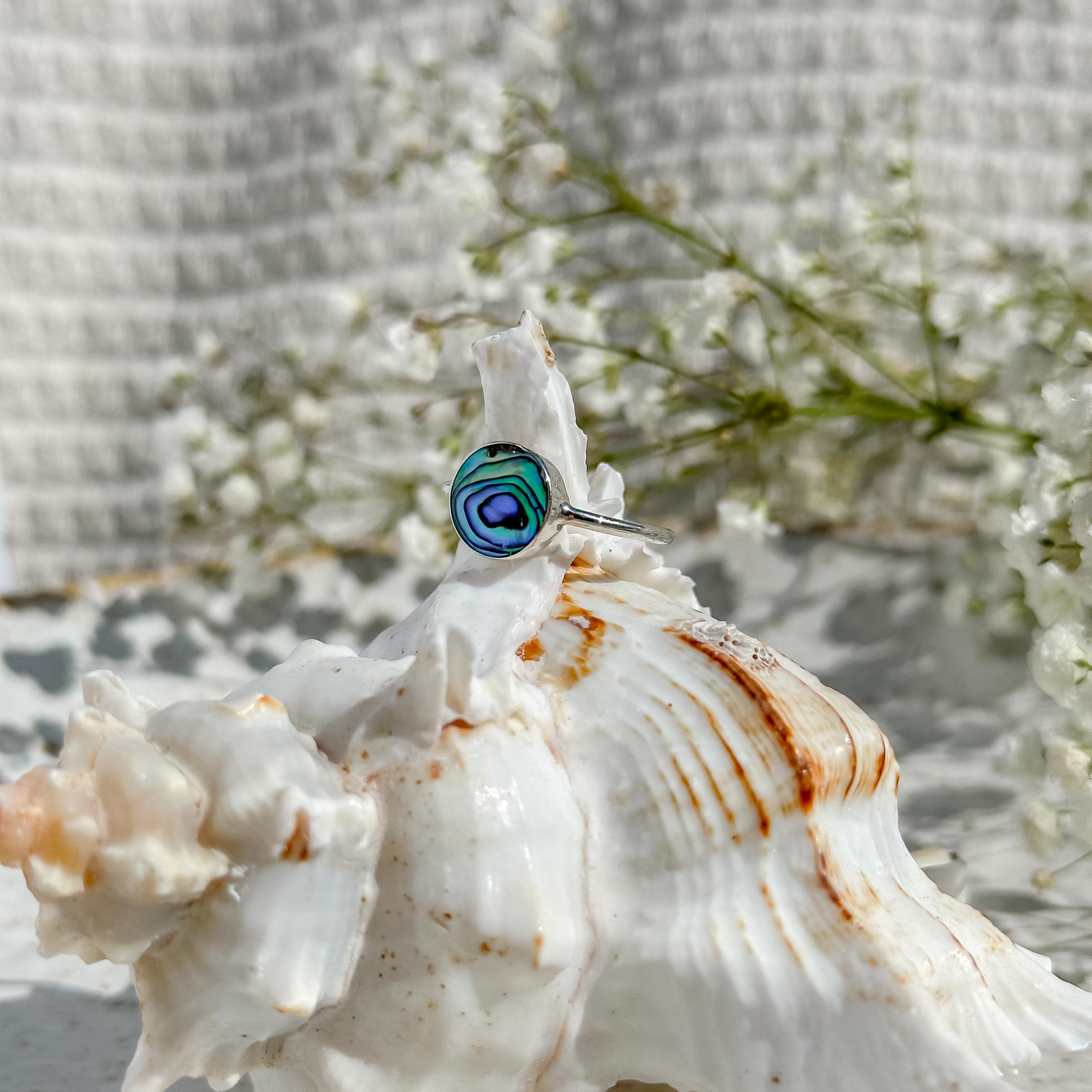 Paua Shell Rings Paua Shore Ring – Wind and Soul