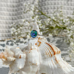 Paua Shore Ring